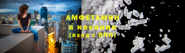 сатива Лабытнанги