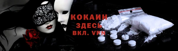 сатива Лабытнанги