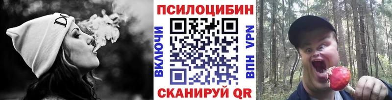 Галлюциногенные грибы прущие грибы  Межгорье 